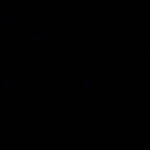 Meet your Posher, Tony